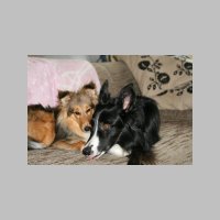 IMG_7169.jpg
