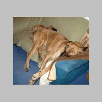Abby_Sofa.jpg