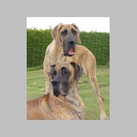 07.08.26_2.jpg