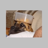 Chips.jpg