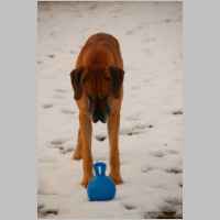 0027.jpg